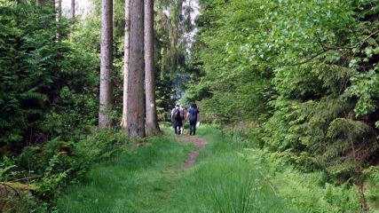 Wandertag 2016